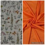 Fantasy animals and pumpkin